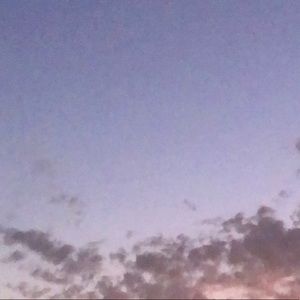 Meet your Posher, Maddy